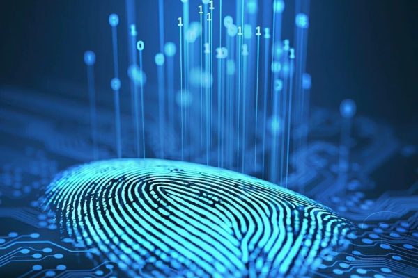 UnderWave – שירותי חקירות פרטיות, אוסינט ומודיעין עסקי חוקר פרטי, בלש פרטי, אוסינט, מודיעין עסקי ואיתור אנשים – UnderWave שירותי חקירות ומודיעין